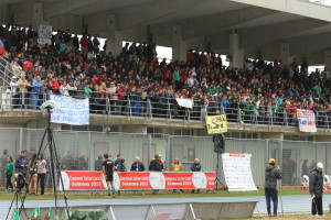 Cad15D (6)