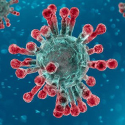 foto-coronavirus