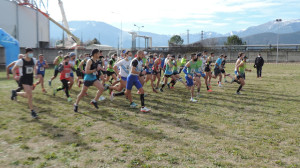 assoluti-foto-campestre